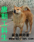 韩娱之国民主持